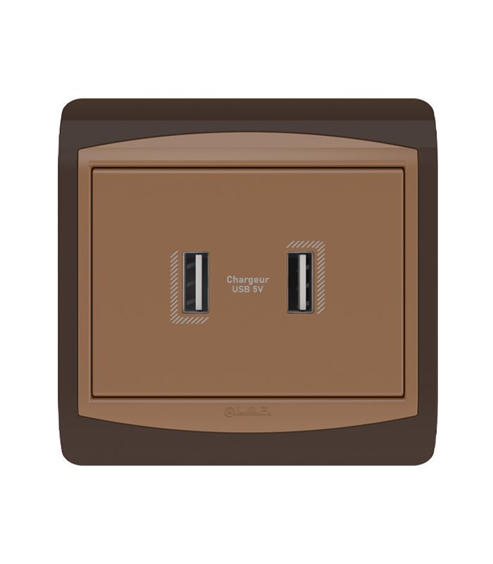 DOUBLE CHARGEUR USB . LAP