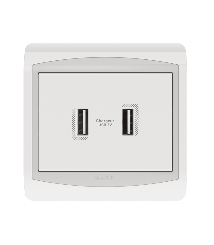 DOUBLE CHARGEUR USB . LAP