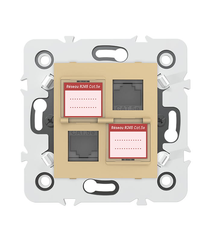 DOUBLE PRISE RJ45 CAT.5e + obturateurs MEC20925 . LAP