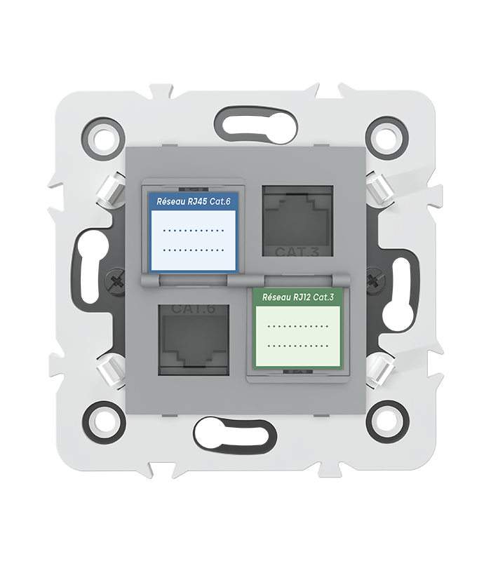 PRISE MIXTE RJ45 CAT.6 + Prise RJ12 CAT.3 + obturateurs MEC20935 . LAP