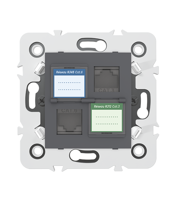 PRISE MIXTE RJ45 CAT.6 + Prise RJ12 CAT.3 + obturateurs MEC20935 . LAP