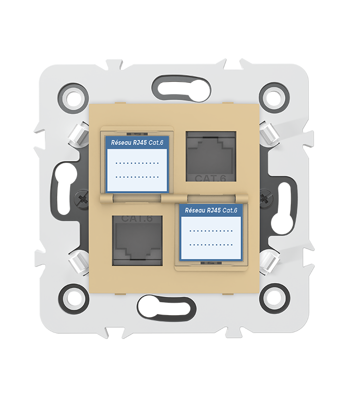DOUBLE PRISE RJ45 CAT.6 + obturateurs MEC20936 . LAP