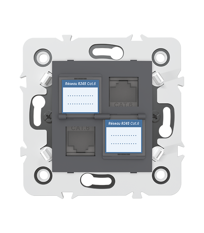 DOUBLE PRISE RJ45 CAT.6 + obturateurs MEC20936 . LAP