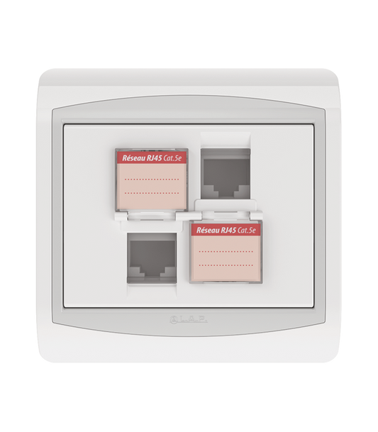 DOUBLE PRISE RJ45 CAT 5E + OBTURATEUR . LAP