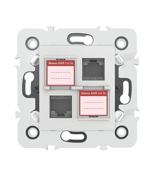 DOUBLE PRISE RJ45 CAT.5e + obturateurs MEC20925 . LAP