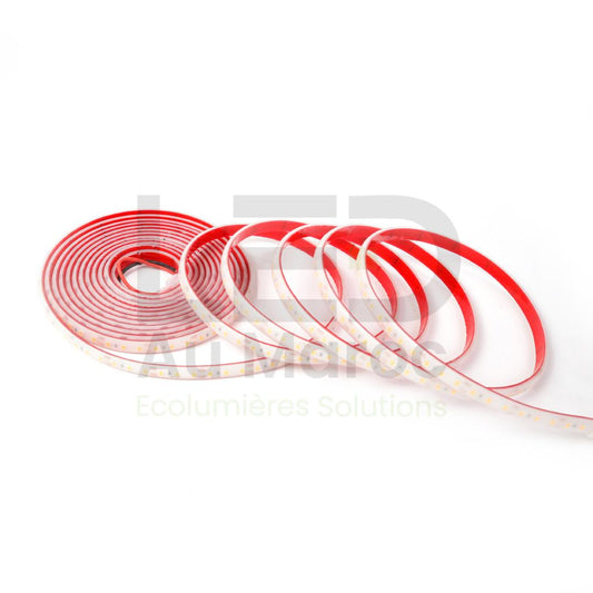 RUBAN 2835/120 IP68 12V 5M